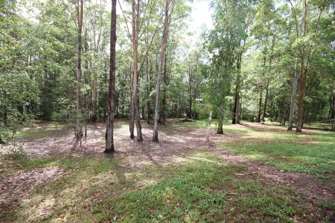 25 Blackbean Court, Black Mountain QLD 4563, Black Mountain - Thumbnail 4