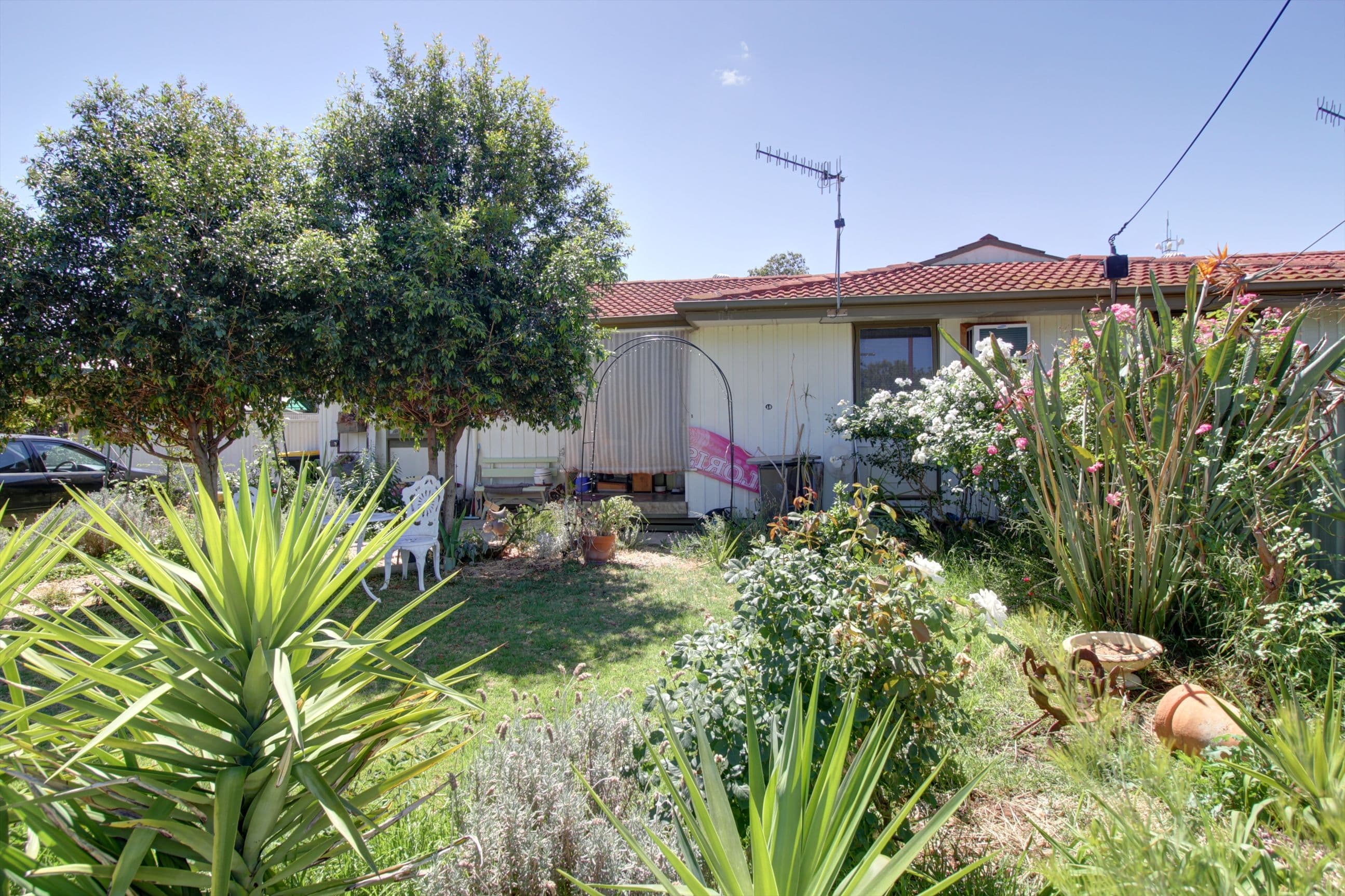 10 Belah Street, Renmark SA 5341, Renmark - Image 1