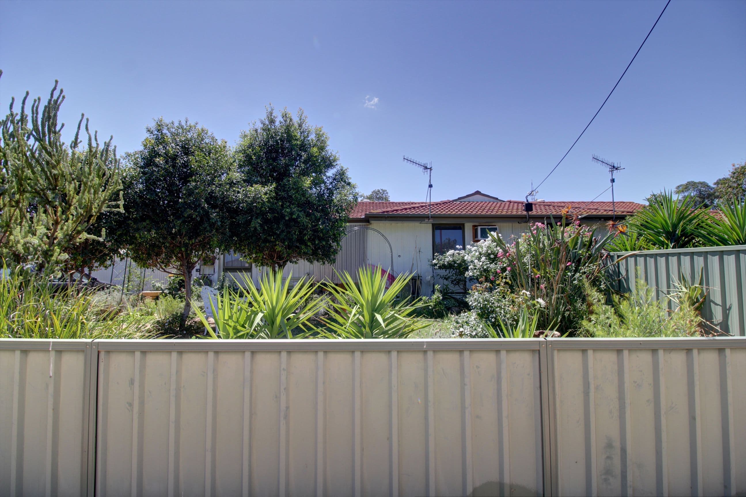 10 Belah Street, Renmark SA 5341, Renmark - Thumbnail 2