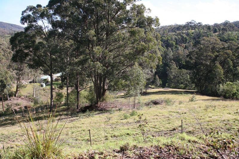 CENTRAL TILBA NSW 2546, Central Tilba - Image 1