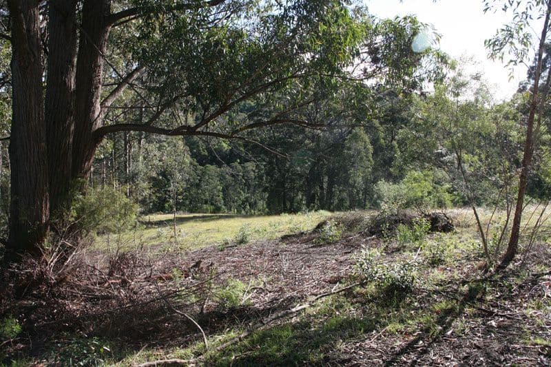 CENTRAL TILBA NSW 2546, Central Tilba - Thumbnail 2