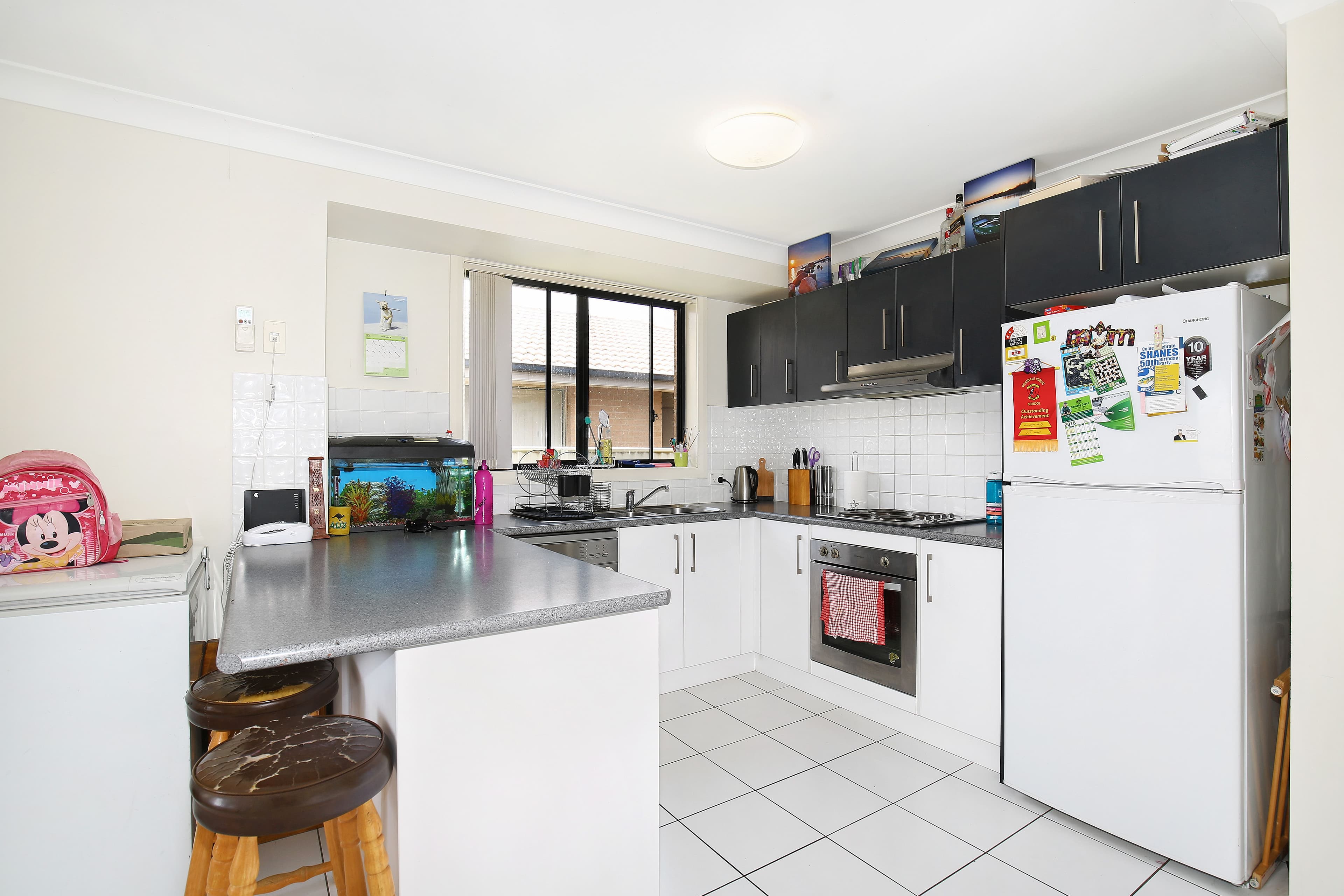 33 Cunningham Street, Westdale - Thumbnail 3
