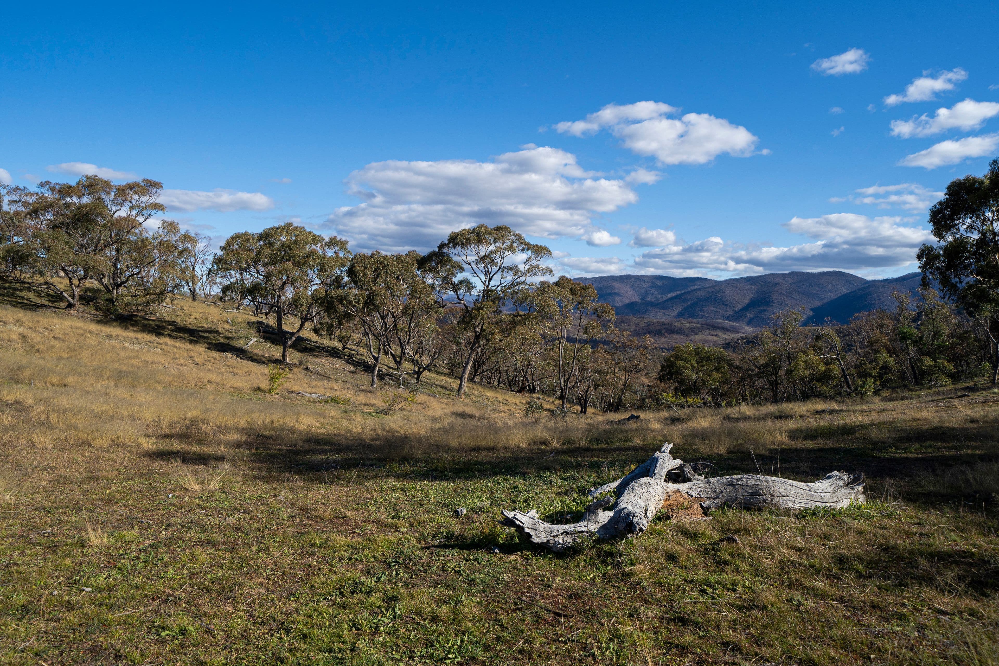 5219 Monaro Highway, MICHELAGO NSW 2620, Michelago - Image 1