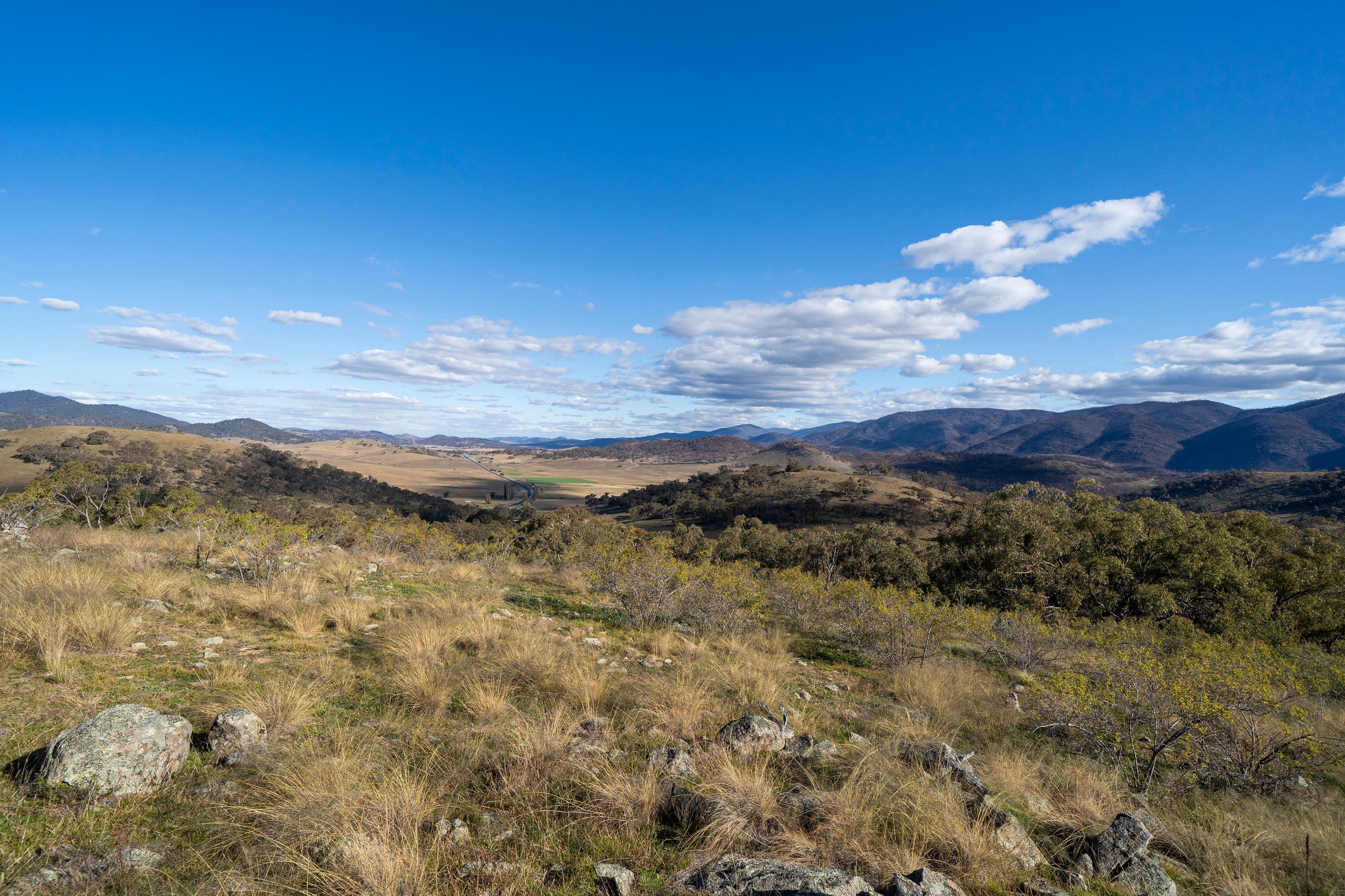 5219 Monaro Highway, MICHELAGO NSW 2620, Michelago - Thumbnail 3