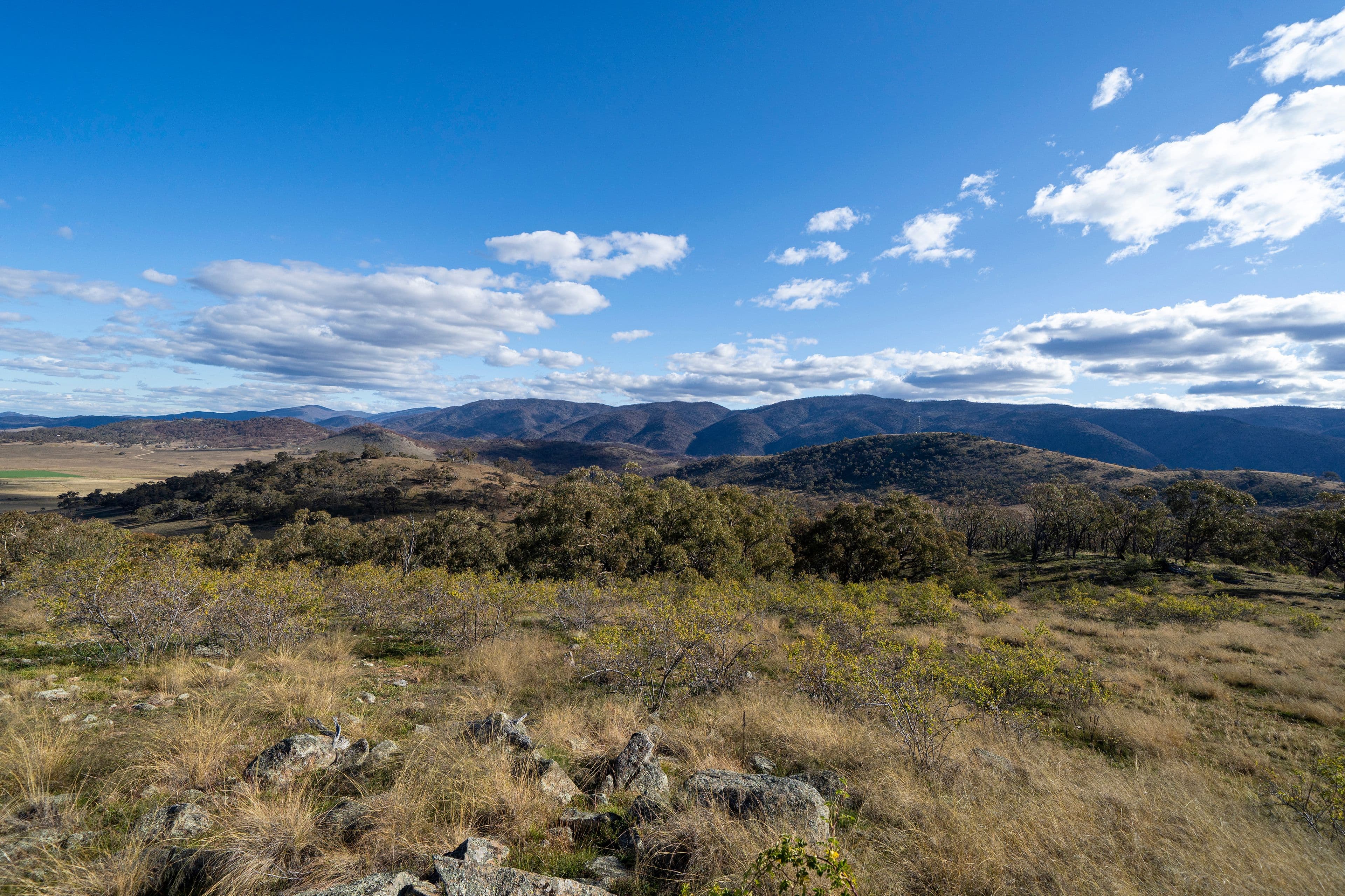 5219 Monaro Highway, MICHELAGO NSW 2620, Michelago - Thumbnail 4
