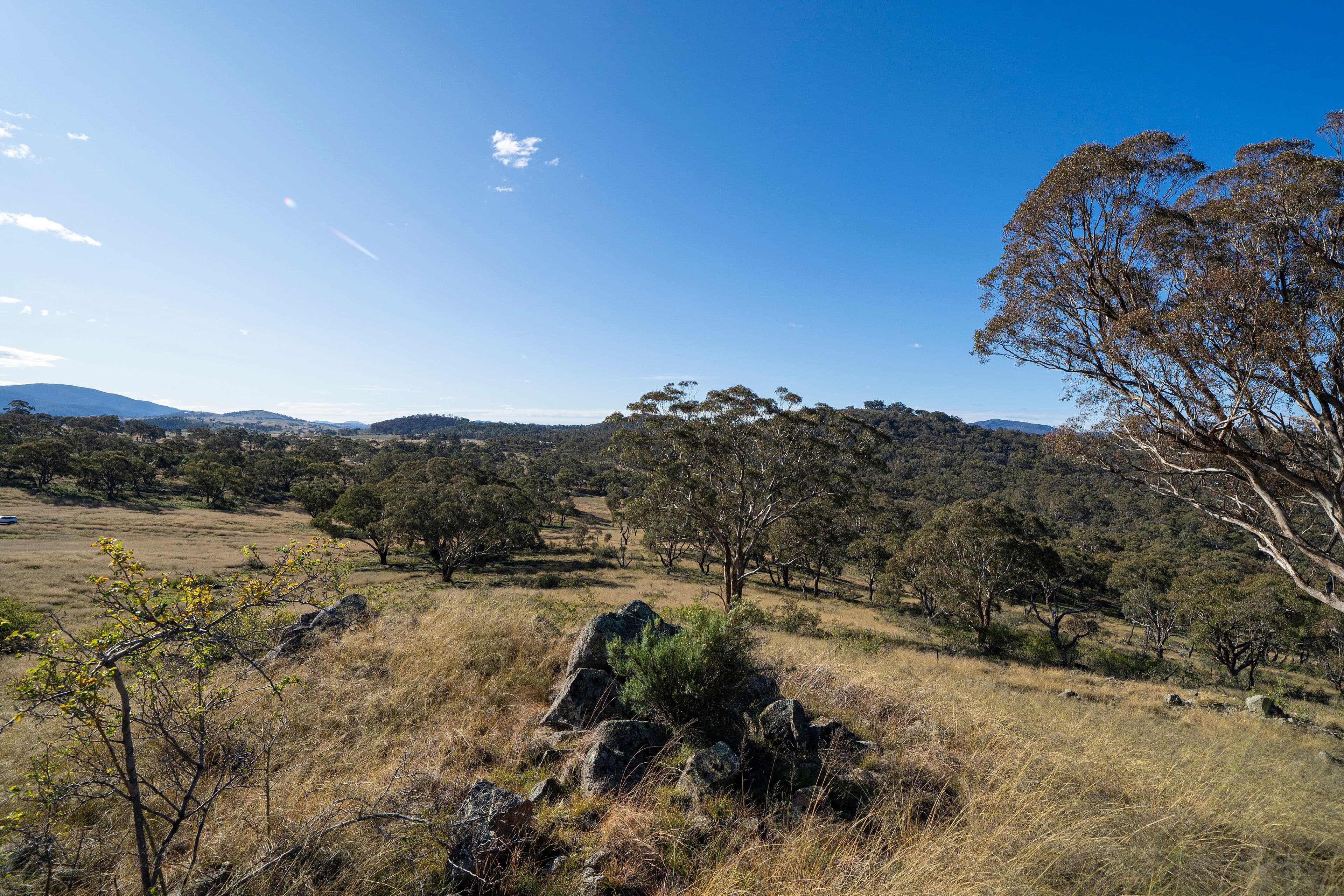 5219 Monaro Highway, MICHELAGO NSW 2620, Michelago - Thumbnail 5