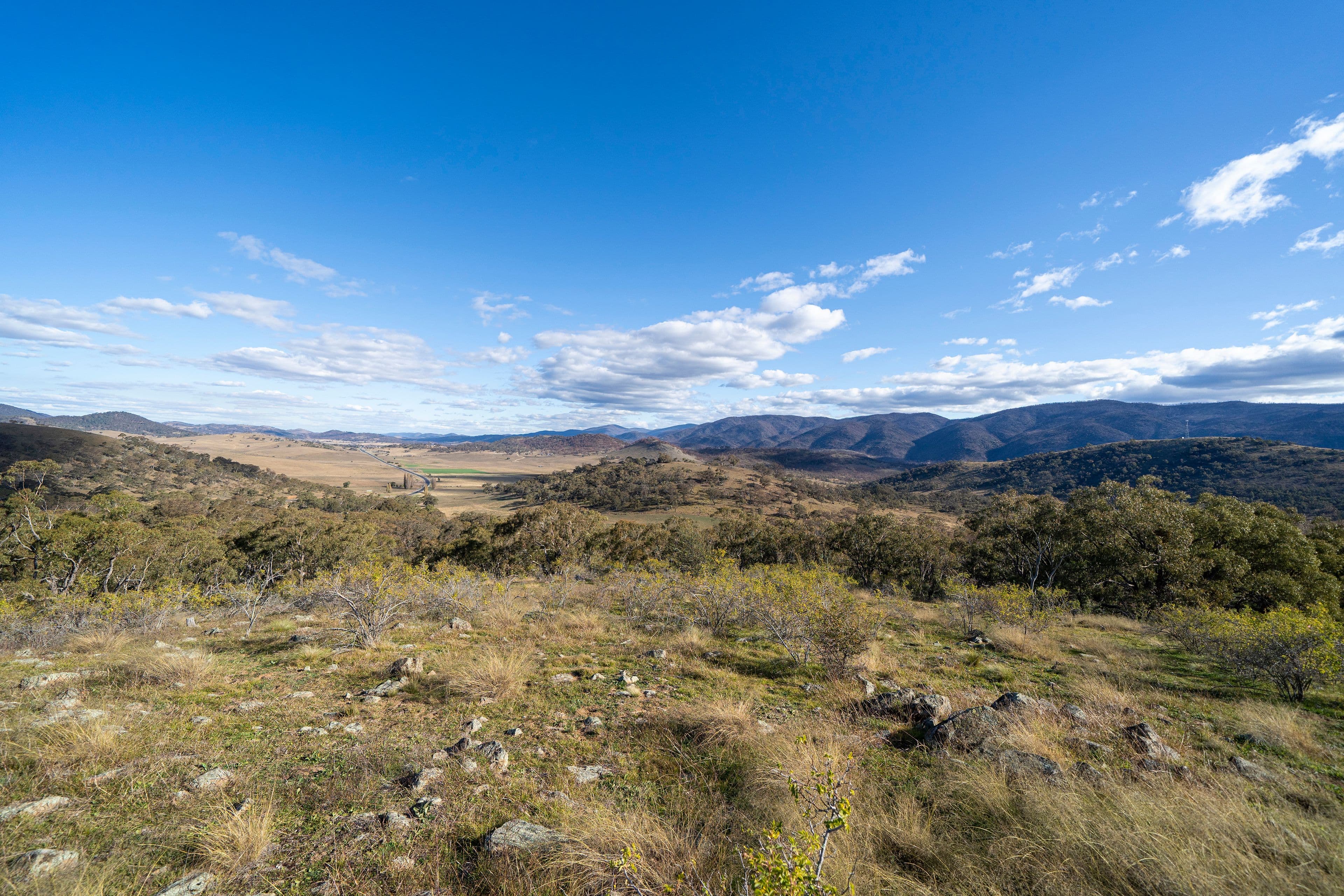 5219 Monaro Highway, MICHELAGO NSW 2620, Michelago - Thumbnail 6