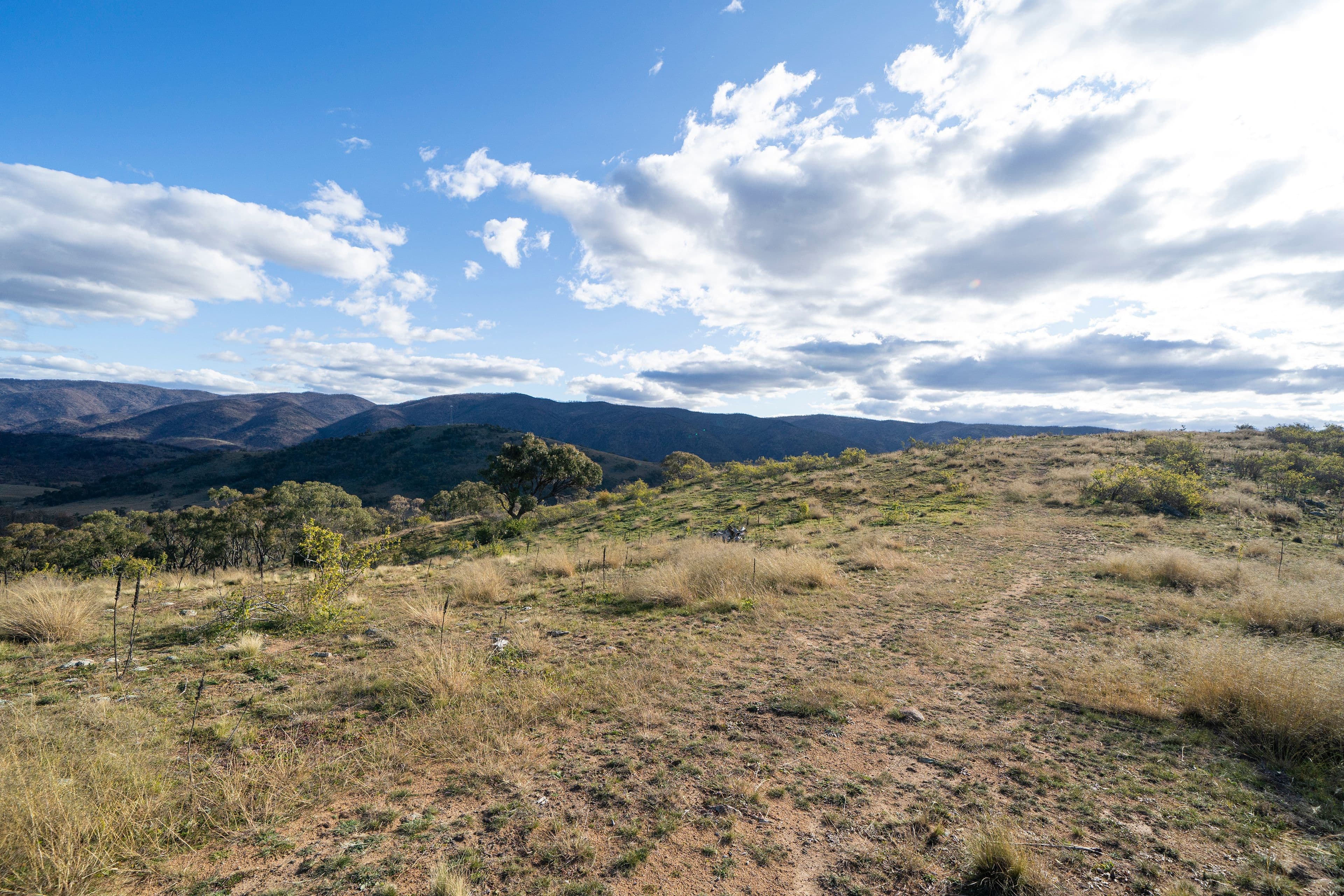 5219 Monaro Highway, MICHELAGO NSW 2620, Michelago - Thumbnail 8