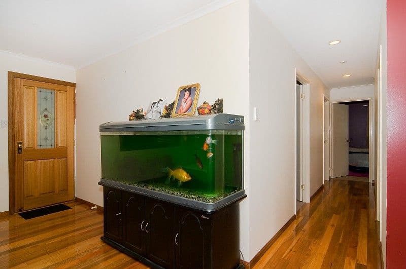 38 Cairns Road, CAMIRA QLD 4300, Camira - Thumbnail 5