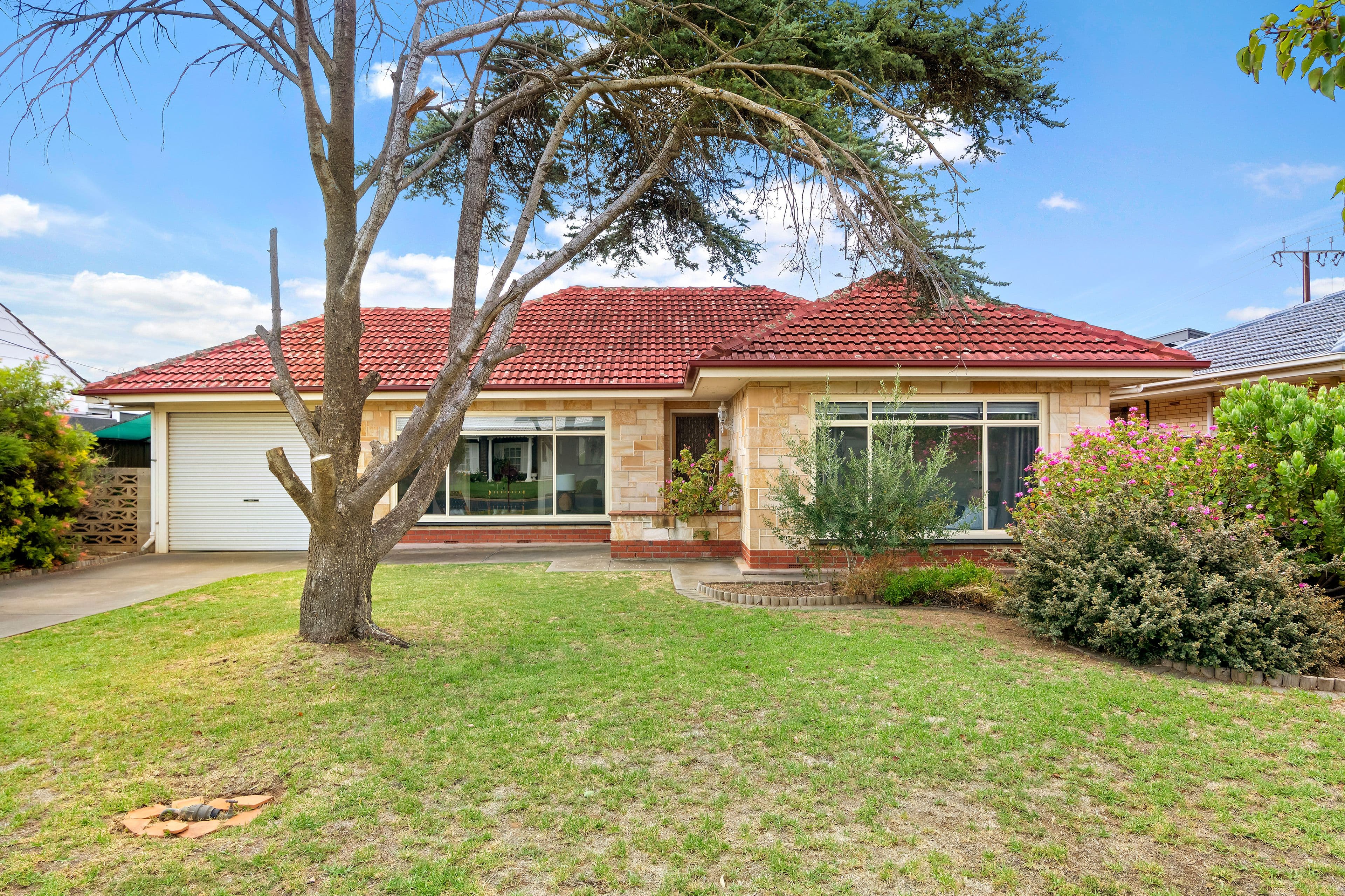 17 Allendale Avenue, Novar Gardens SA 5040, Novar Gardens - Image 1
