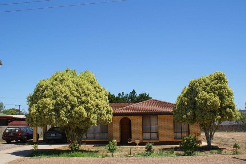 11-13 Acacia Street, MURRAY BRIDGE SA 5253, Murray Bridge - Image 1