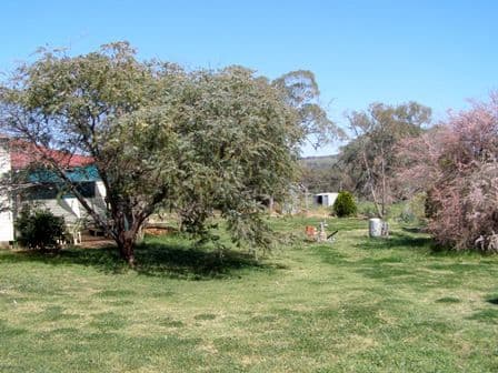 91 Main Street, CUDAL NSW 2864, Cudal - Thumbnail 3