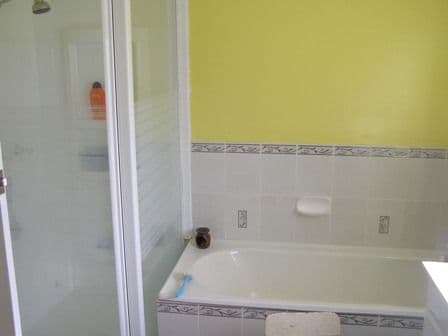 91 Main Street, CUDAL NSW 2864, Cudal - Thumbnail 7