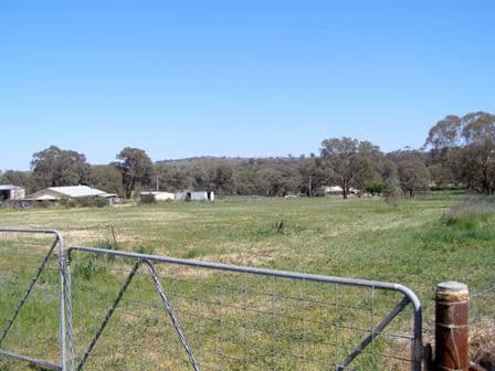 91 Main Street, CUDAL NSW 2864, Cudal - Thumbnail 8