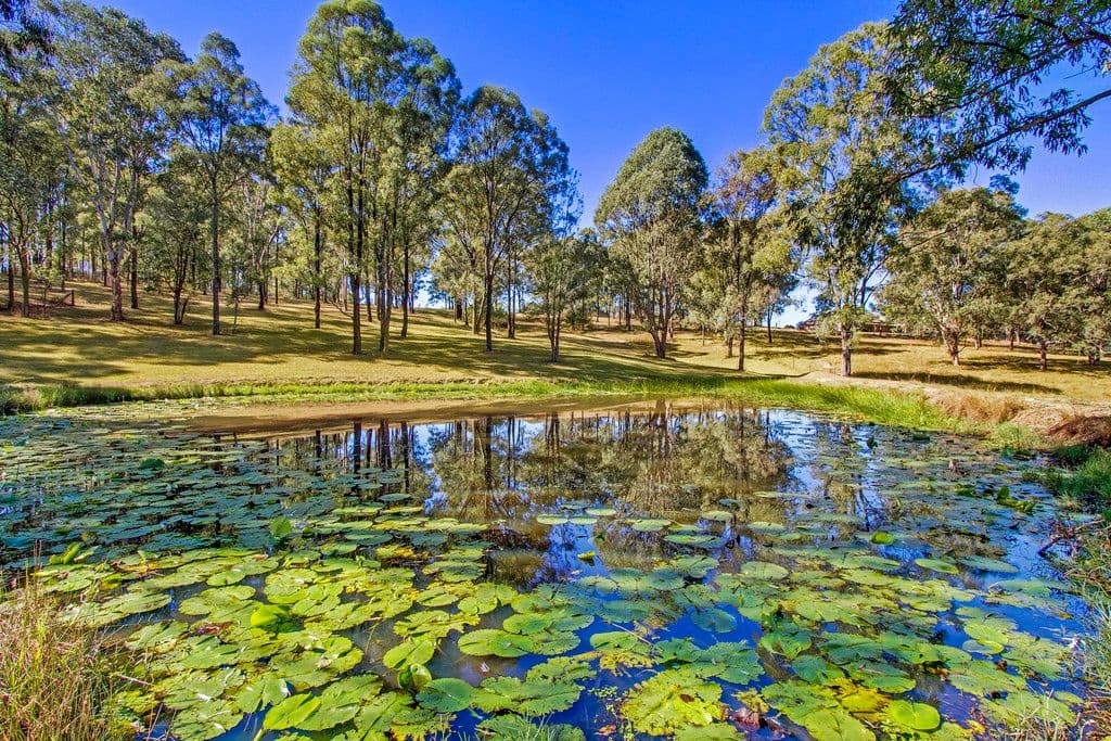 365 Spinks Road, Glossodia - Thumbnail 3