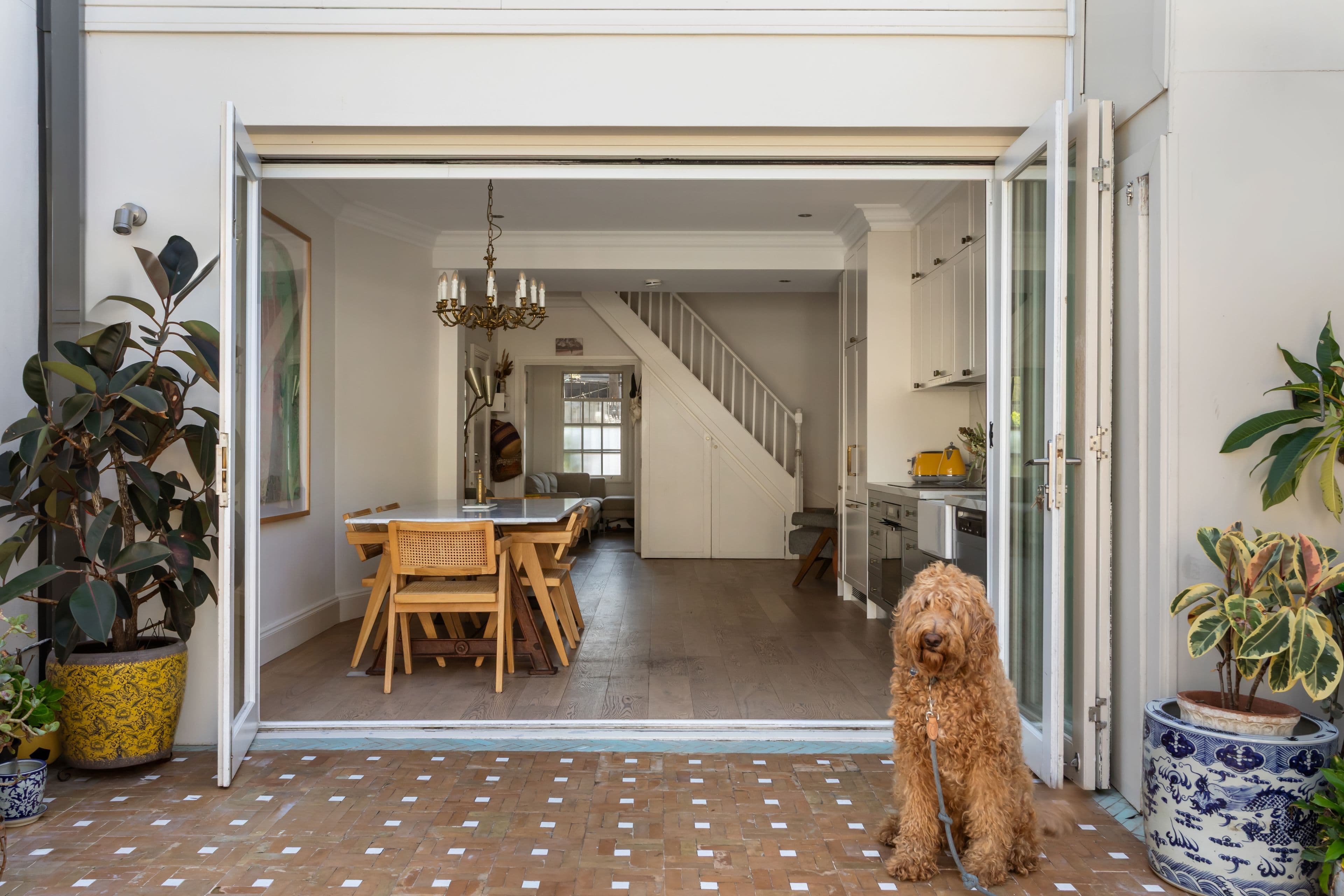 57 Phelps Street, Surry Hills NSW 2010, Surry Hills - Thumbnail 2