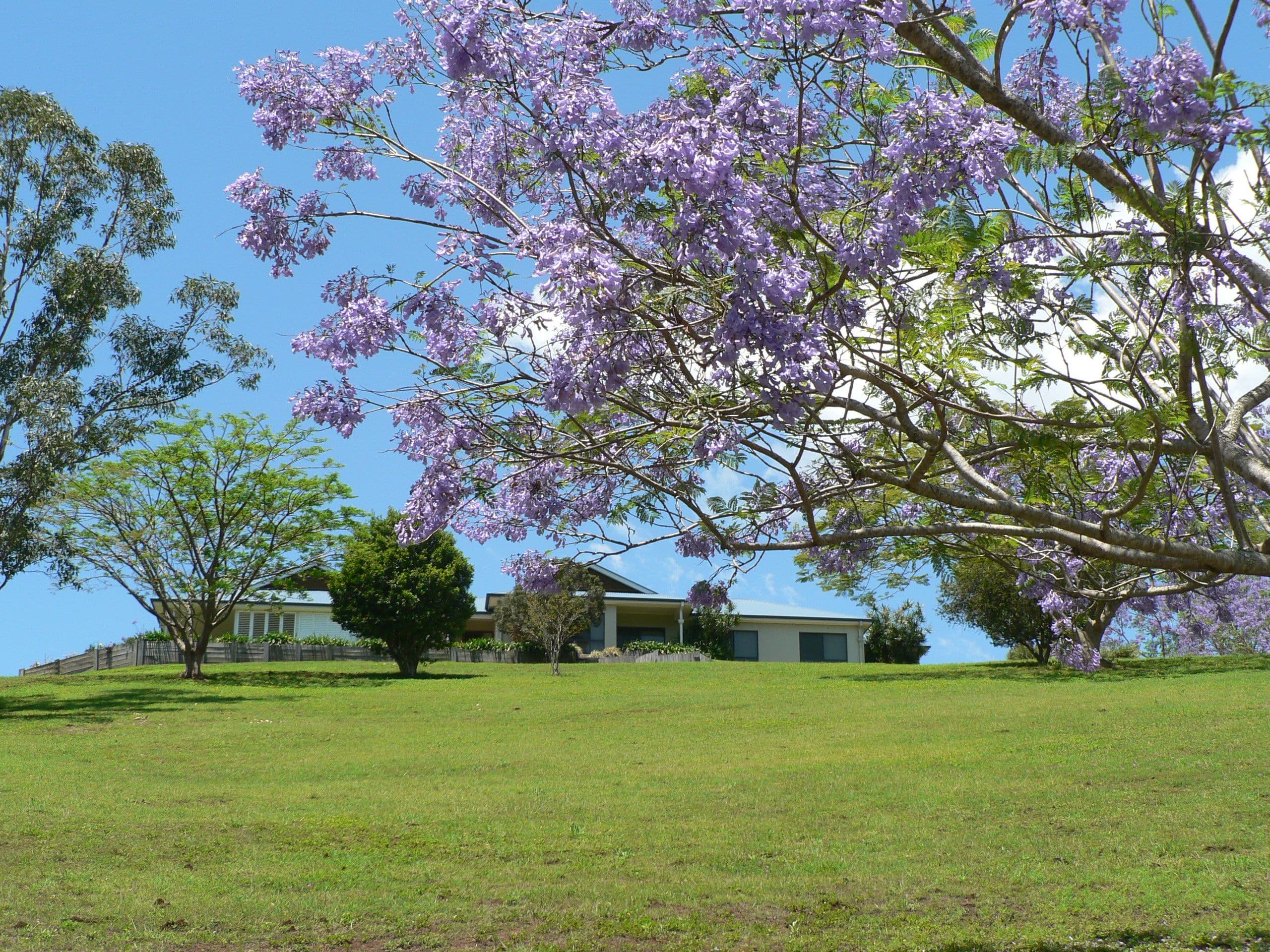4 Blake Court, Mount Samson QLD 4520, Mount Samson - Thumbnail 2