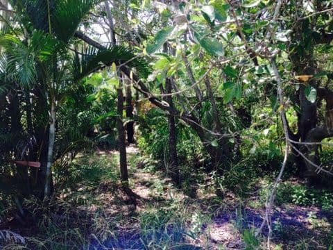 90 Sylvan Drive, MOORE PARK BEACH QLD 4670, Moore Park Beach - Thumbnail 6
