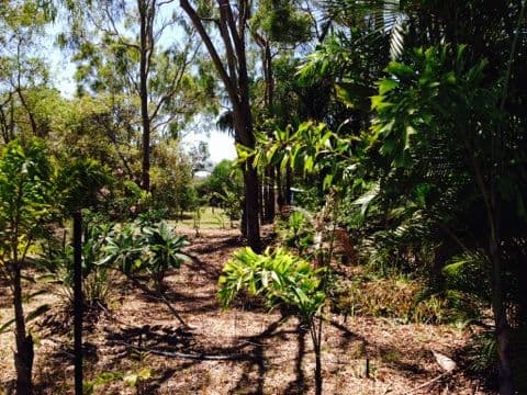 90 Sylvan Drive, MOORE PARK BEACH QLD 4670, Moore Park Beach - Thumbnail 7
