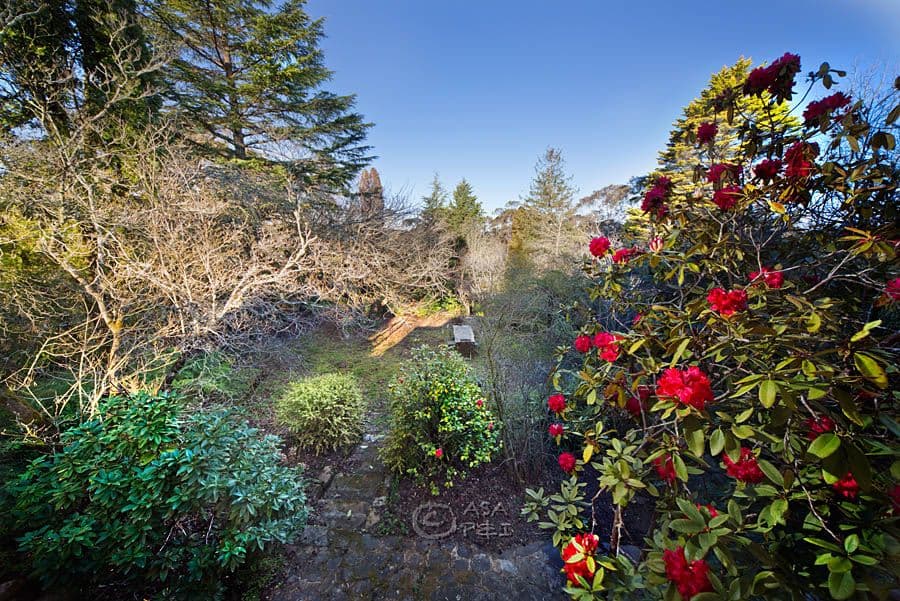 2 Sublime Point Road, LEURA NSW 2780, Leura - Thumbnail 7