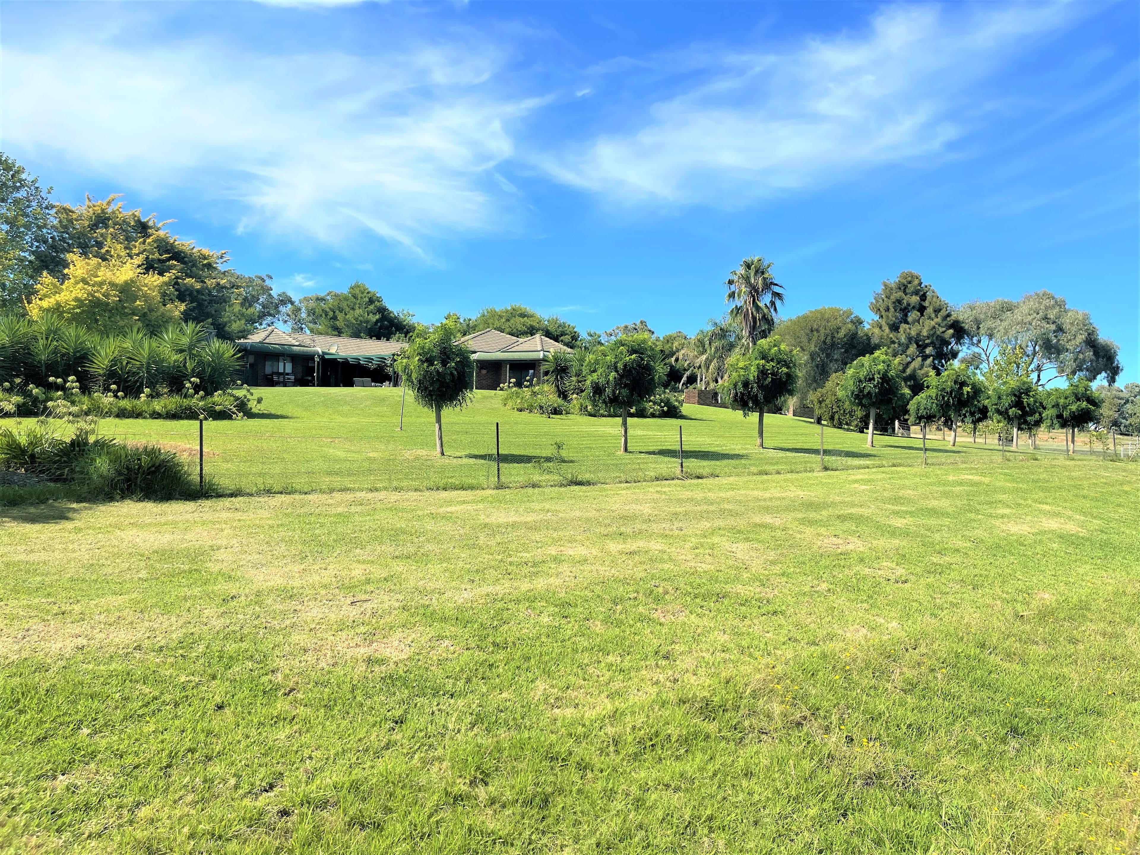 130 Saines Road, Young NSW 2594, Young - Thumbnail 5