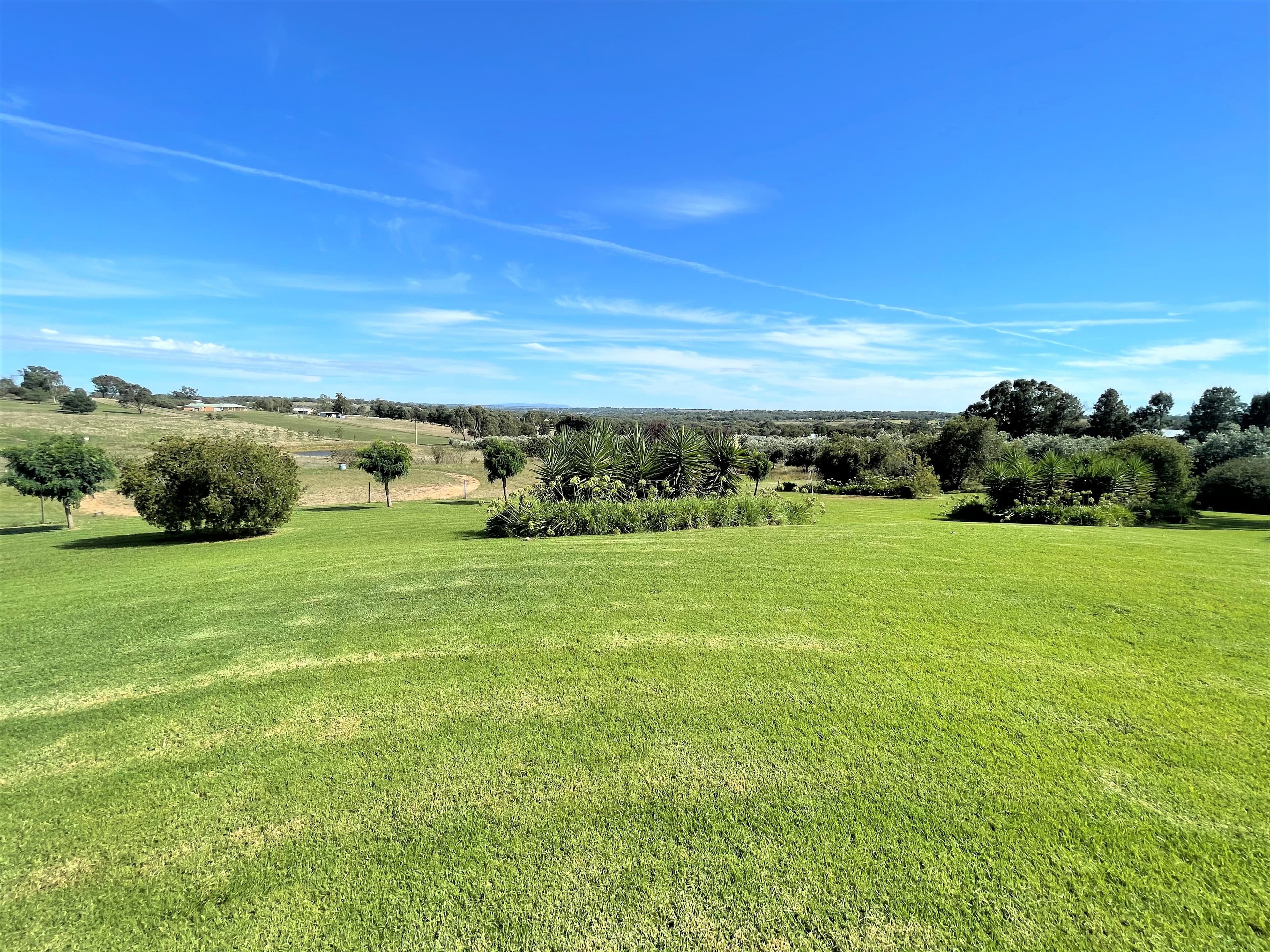 130 Saines Road, Young NSW 2594, Young - Thumbnail 6