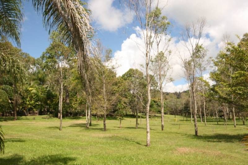 0 Ching Creek, SARINA QLD 4737, Sarina - Thumbnail 2
