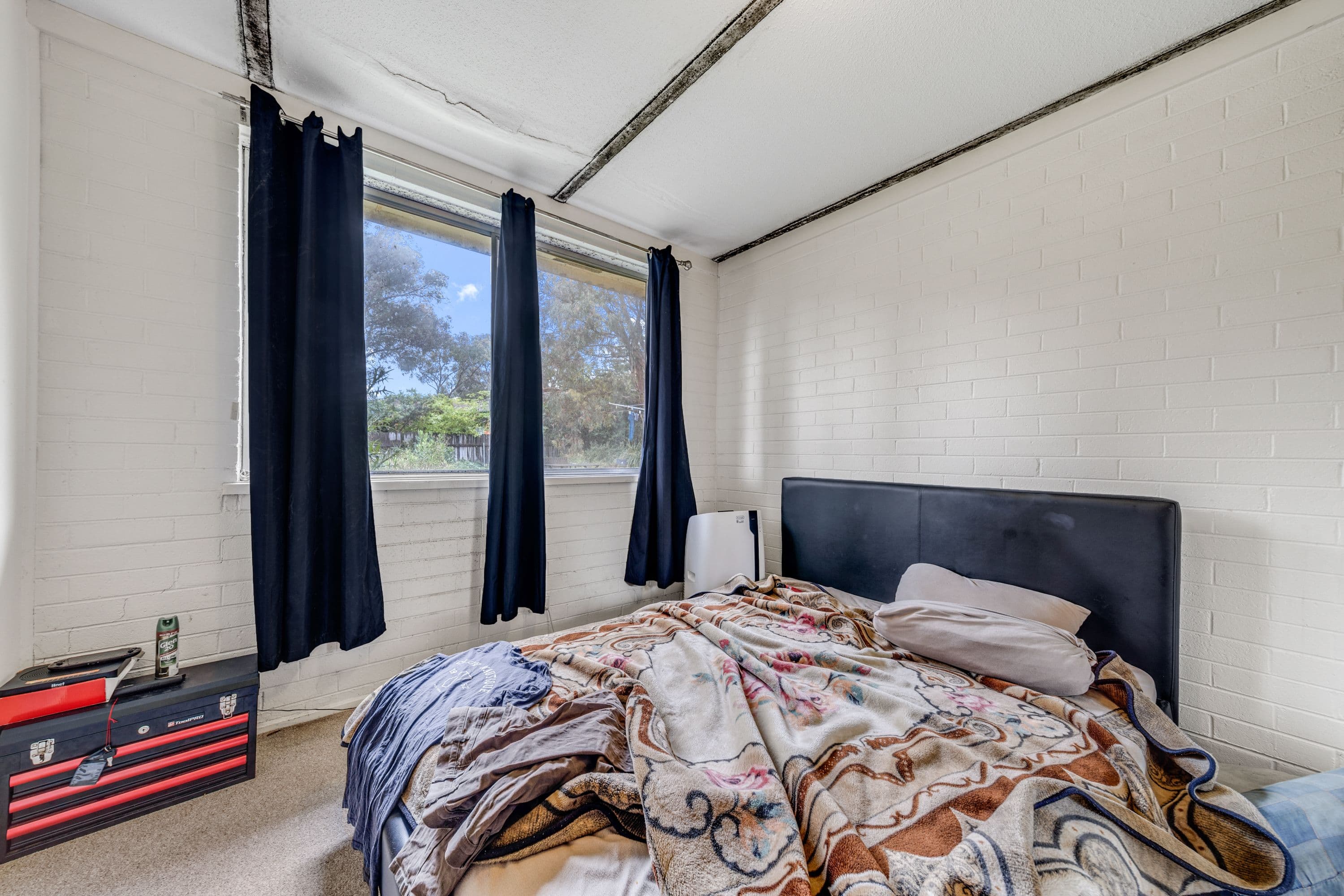 64 Pennefather Street, Higgins ACT 2615, Higgins - Thumbnail 2