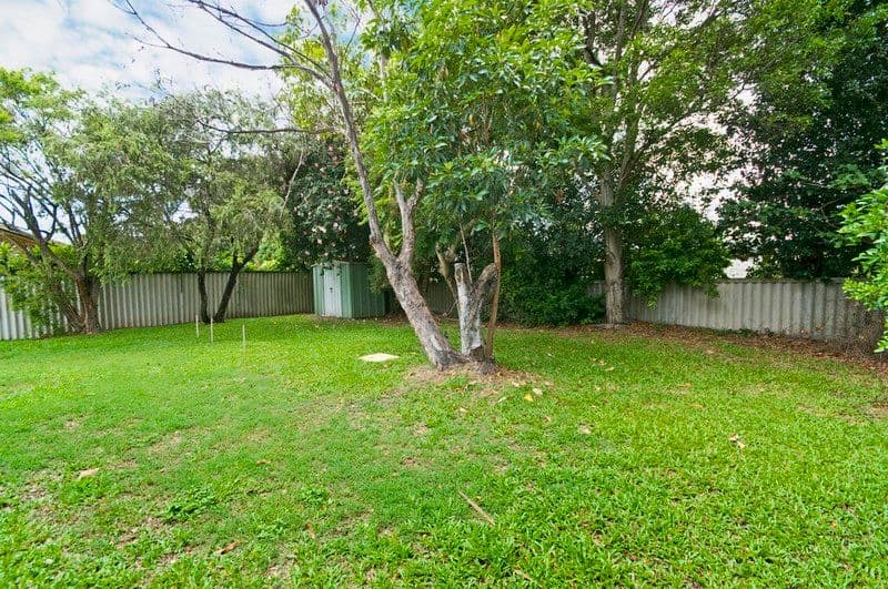 247 Mallawa Drive, PALM BEACH QLD 4221, Palm Beach - Thumbnail 4