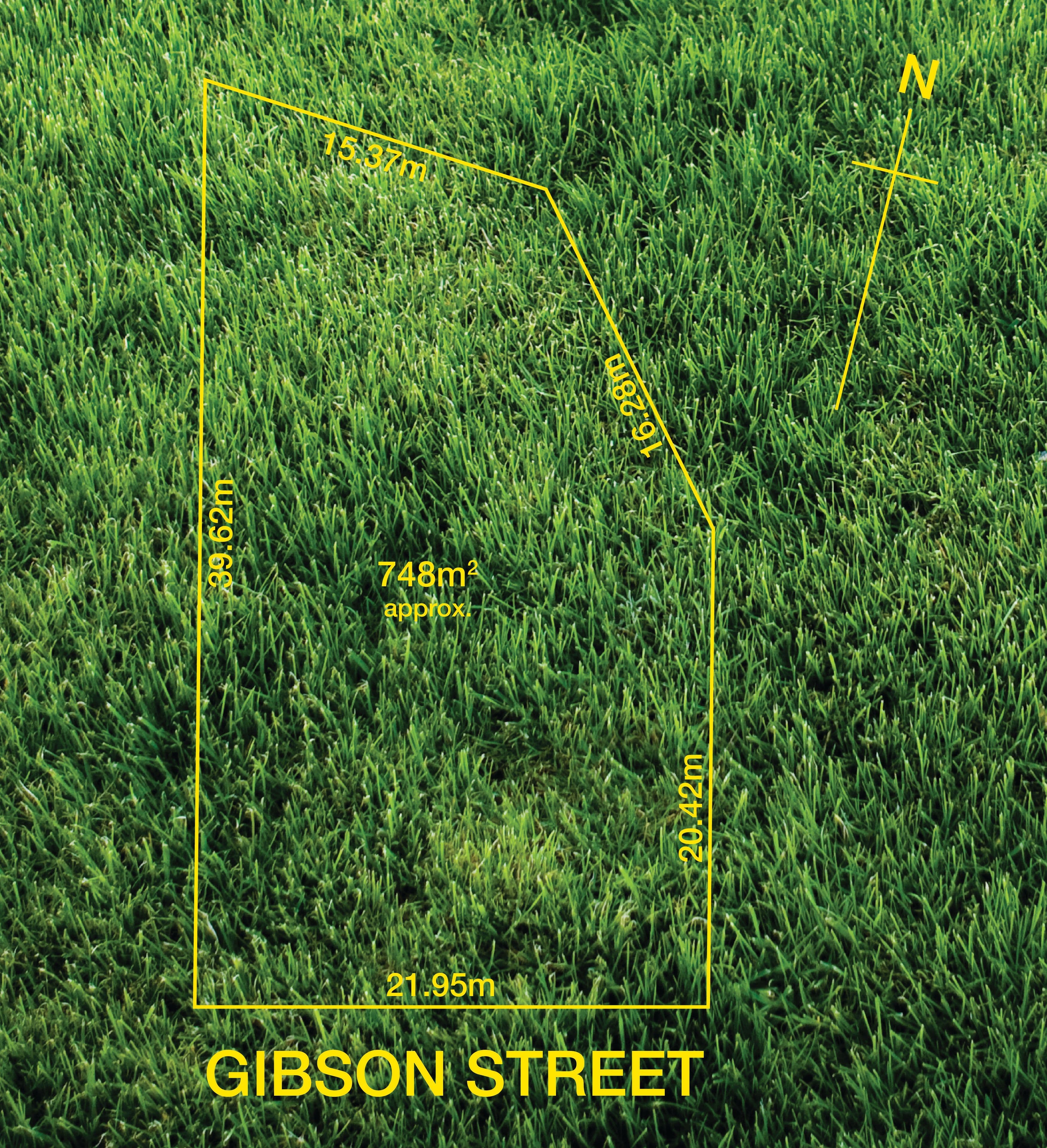 16 Gibson Street, West Beach SA 5024, West Beach - Thumbnail 3