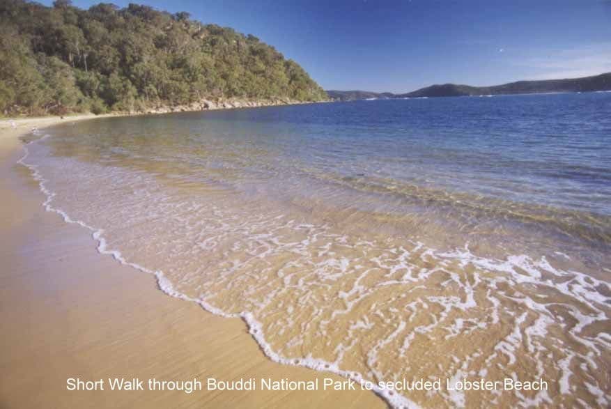 13 Albert Street, Wagstaffe NSW 2257, Wagstaffe - Thumbnail 2