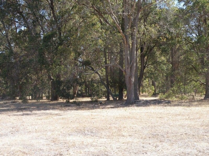 Lot 38 Valley Way, NANNUP WA 6275, Nannup - Image 1