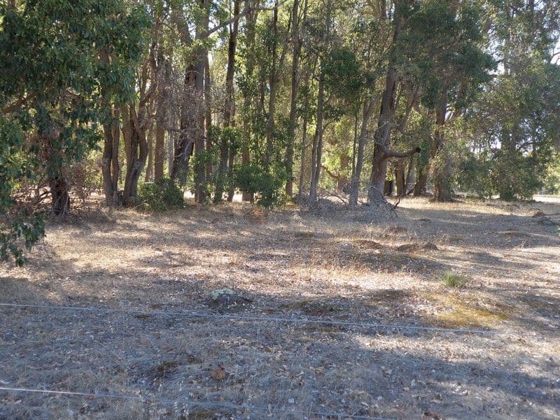 Lot 38 Valley Way, NANNUP WA 6275, Nannup - Thumbnail 2