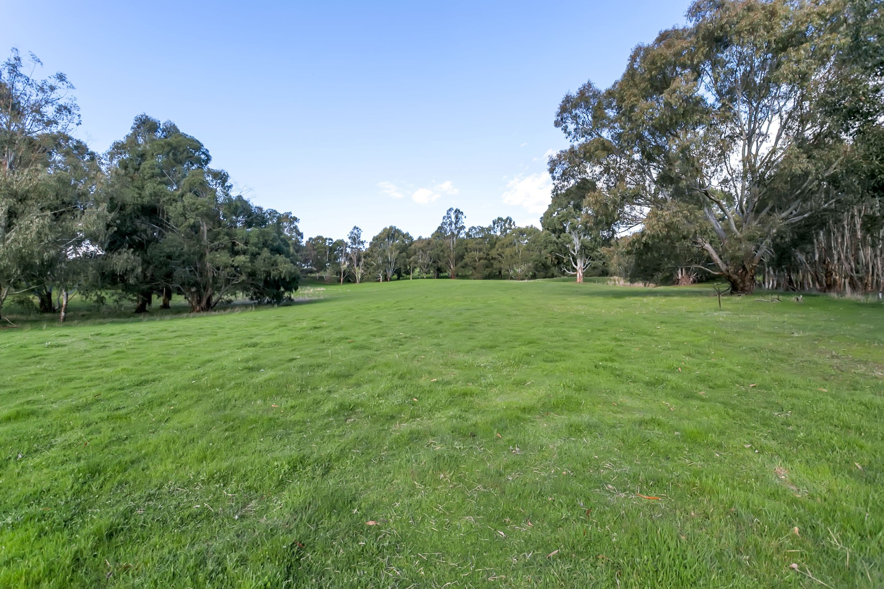201 Quinns Road, Forreston SA 5233, Forreston - Thumbnail 4
