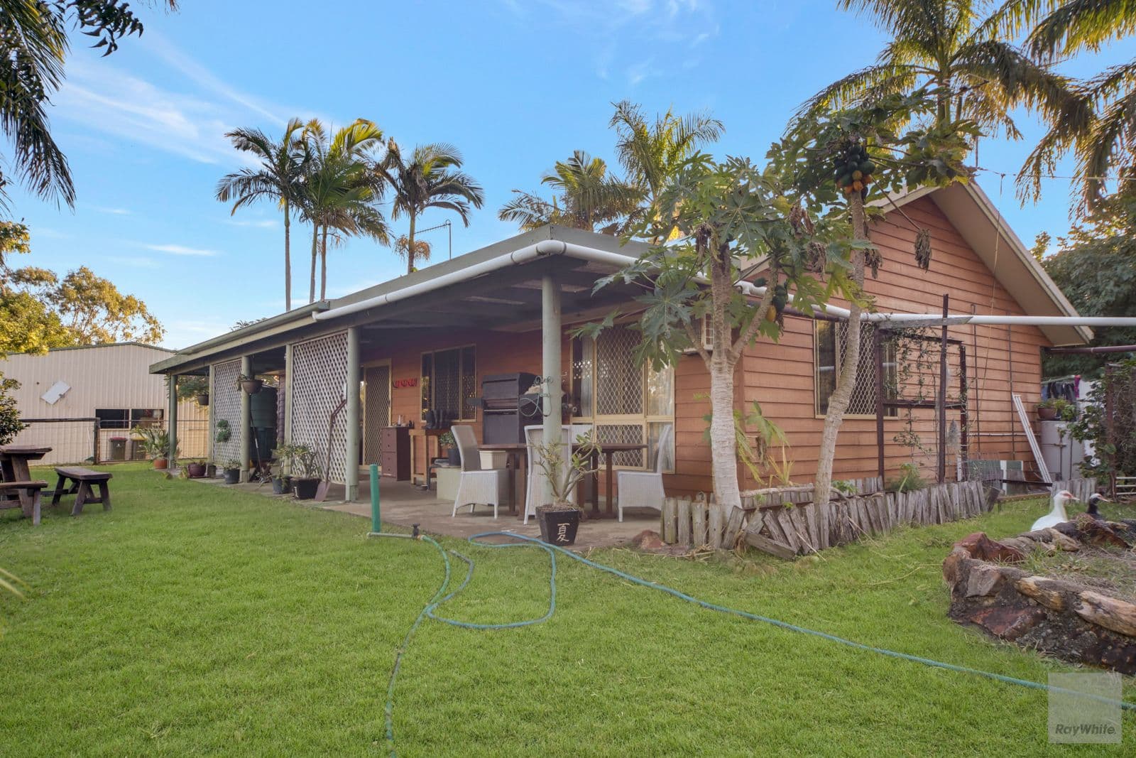 15 Adobe Road, Tanby QLD 4703, Tanby - Thumbnail 5