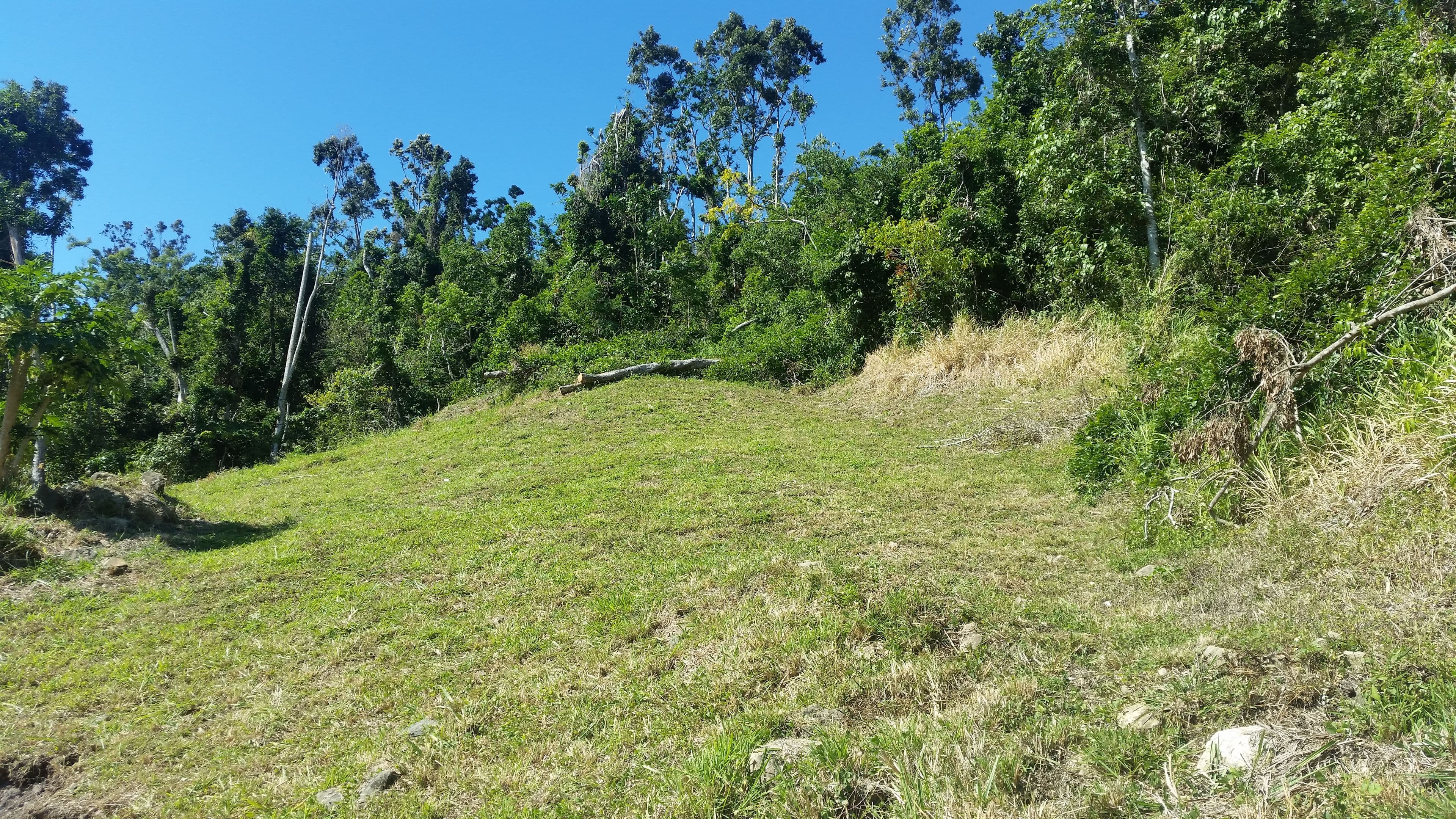 72 Eshelby Drive, Cannonvale QLD 4802, Cannonvale - Thumbnail 8