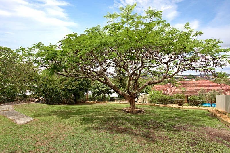 17 Percival Terrace, HOLLAND PARK QLD 4121, Holland Park - Thumbnail 8