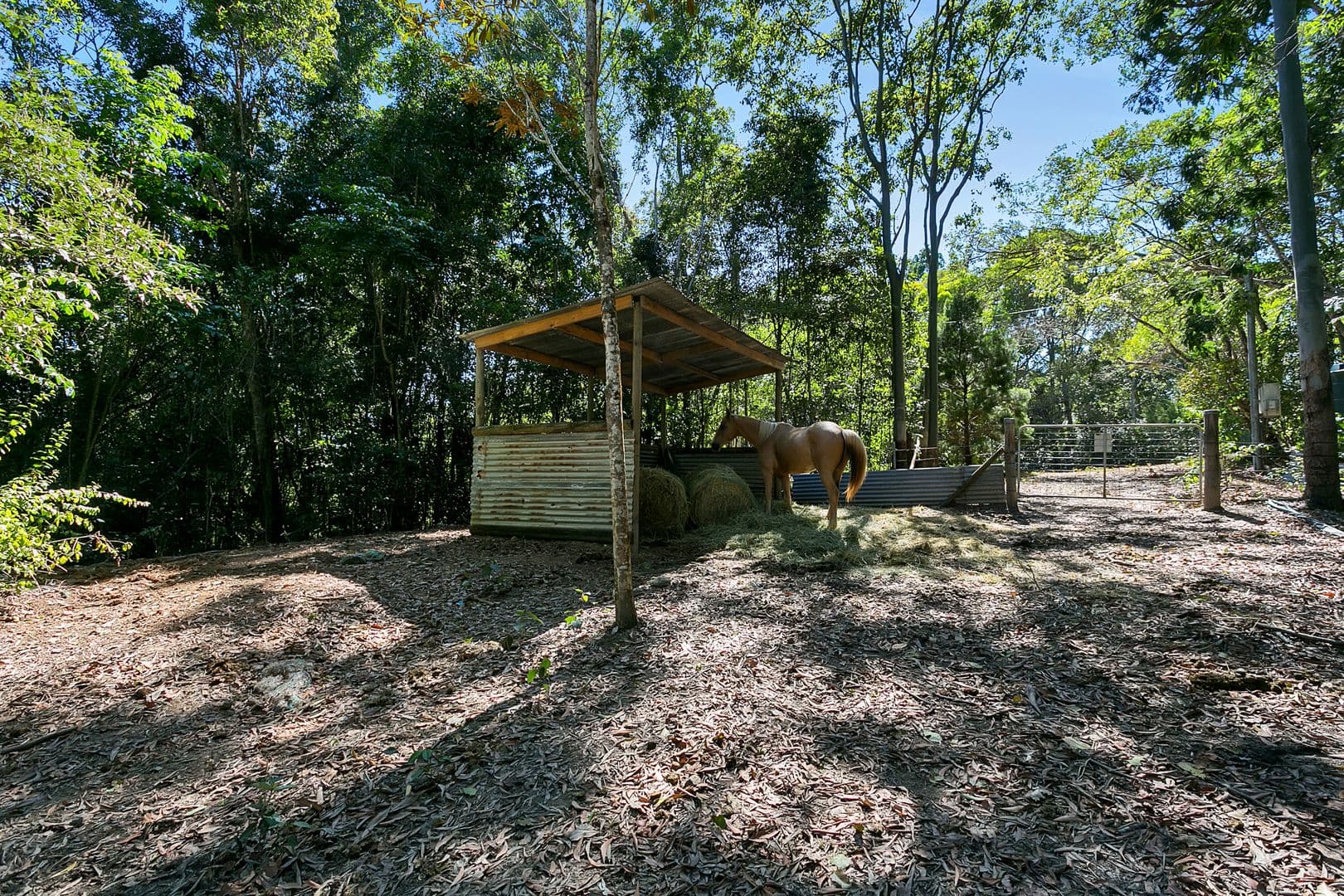 335 Ganyan Drive, Speewah QLD 4881, Speewah - Thumbnail 7