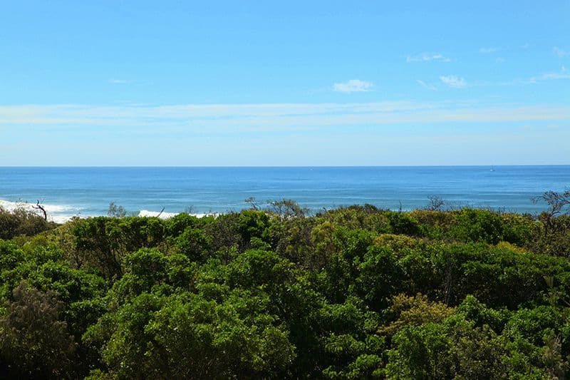  923 David Low Way, Marcoola QLD 4564, Marcoola - Thumbnail 4