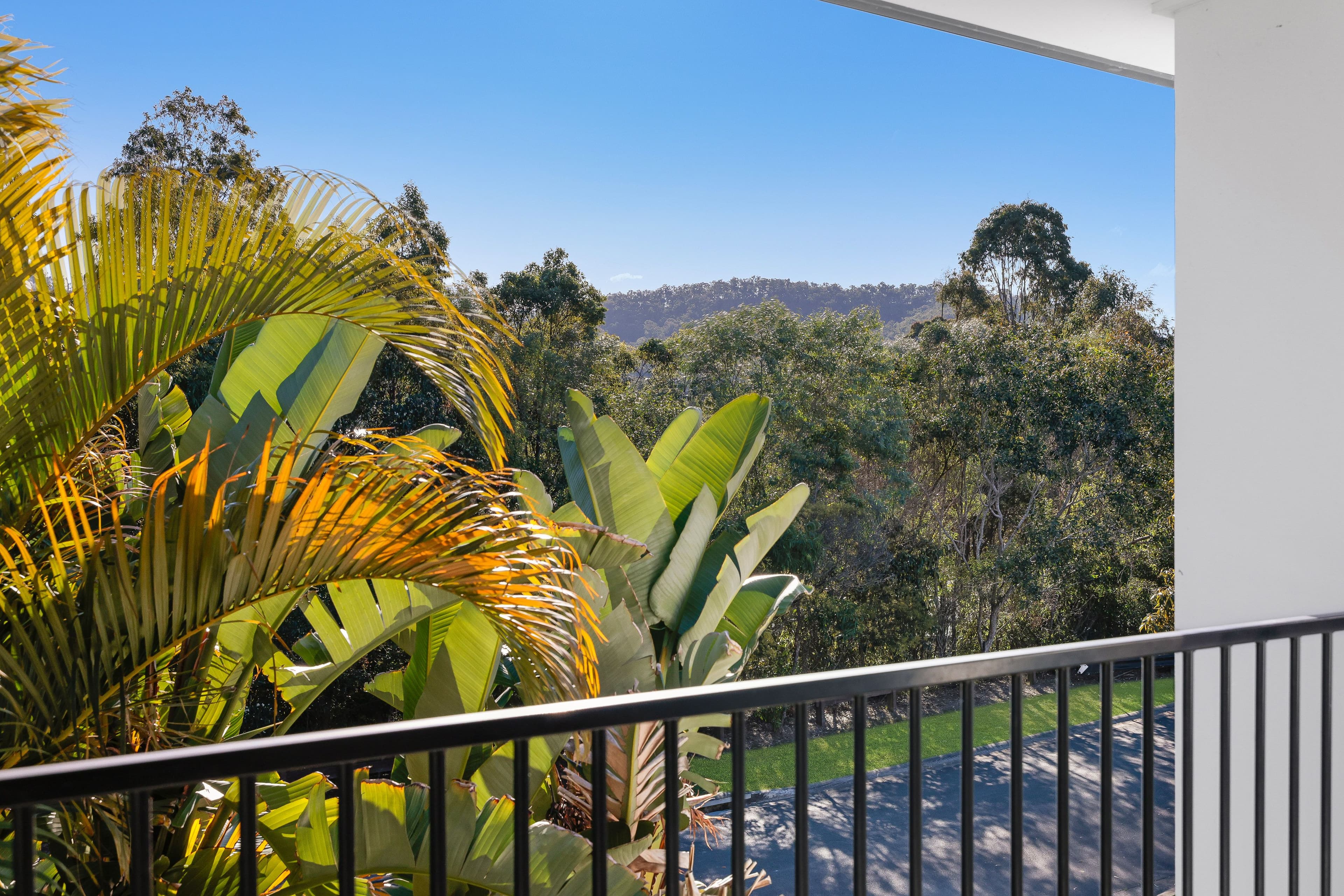 53 Wildflower Circuit, Upper Coomera QLD 4209, Upper Coomera - Thumbnail 3