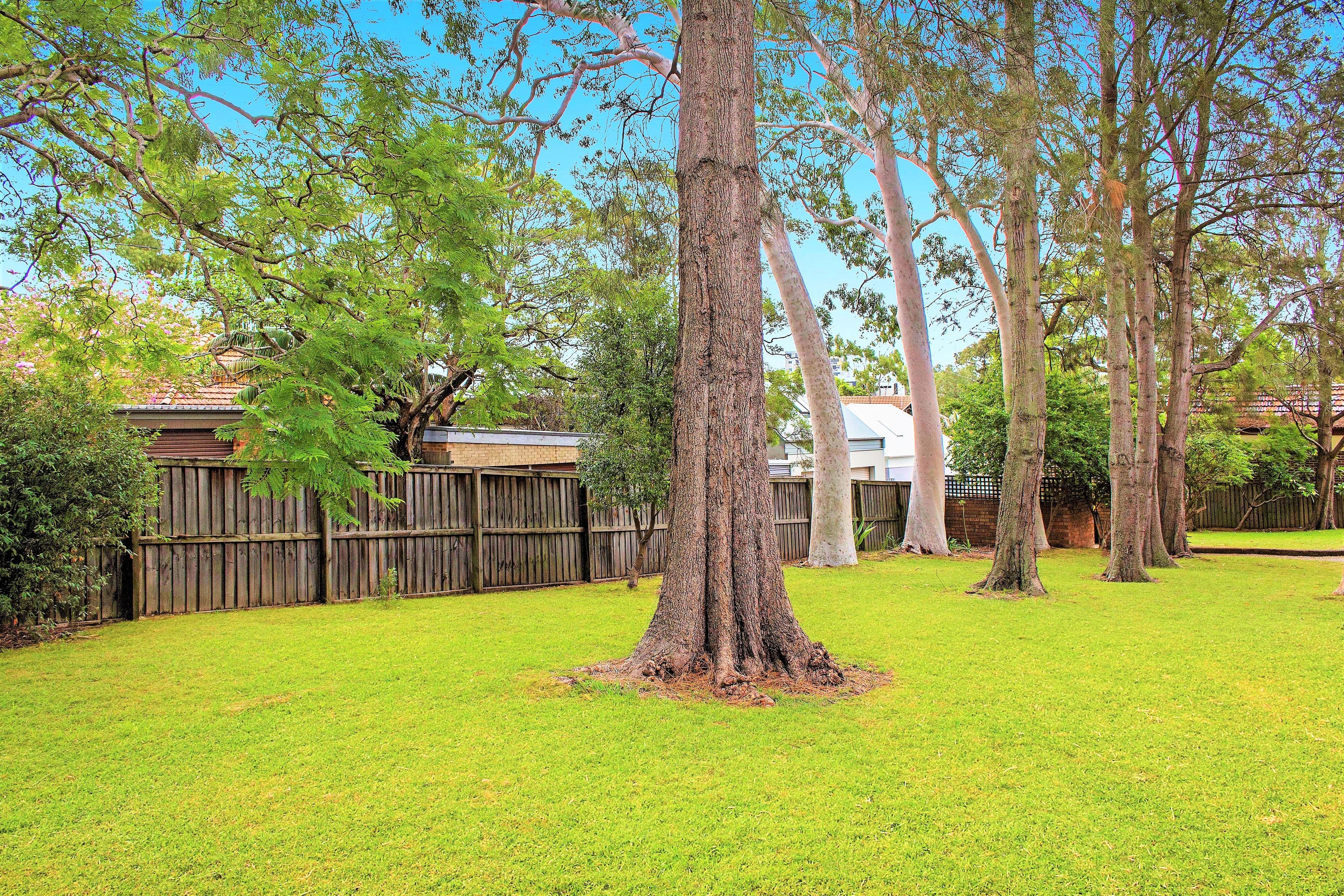 25-29 Alexandra Street, Drummoyne NSW 2047, Drummoyne - Thumbnail 5