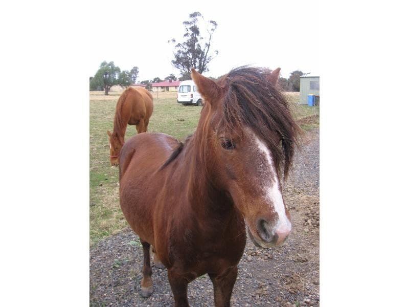 WILBY VIC 3728, Wilby - Thumbnail 3