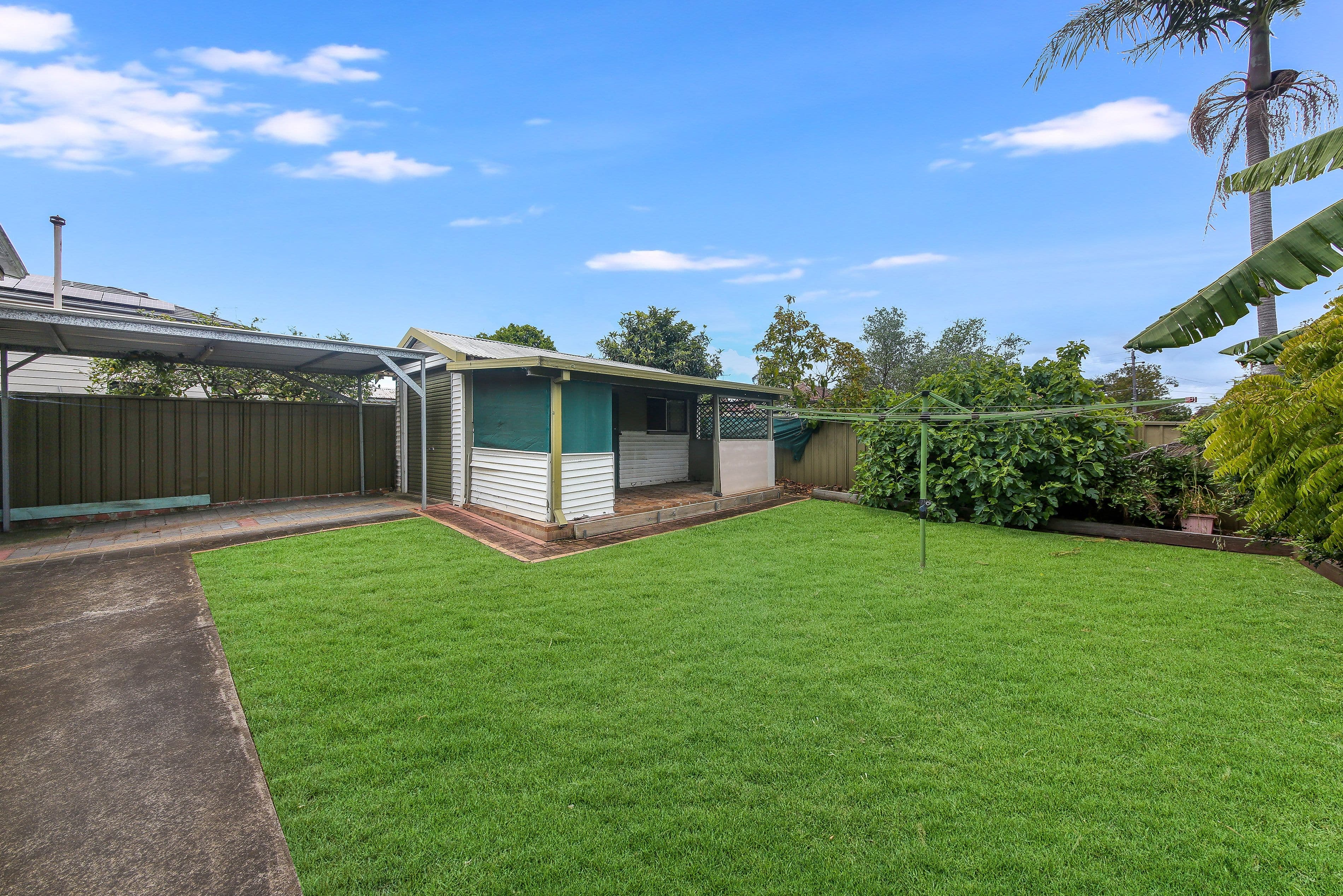 71 Webb Street, Riverwood NSW 2210, Riverwood - Thumbnail 7