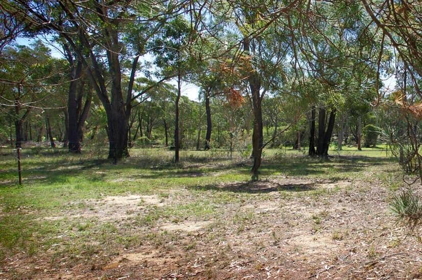 55 West Parade, HILL TOP NSW 2575, Hill Top - Thumbnail 3