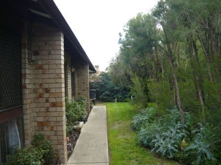 307 Moore Street, LAVINGTON NSW 2641, Lavington - Thumbnail 6