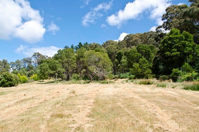 1 Bowen Street, BEAUTY POINT TAS 7270, Beauty Point - Thumbnail 2