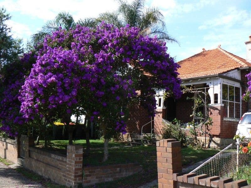 65 Stoney Creek Road, BEXLEY NSW 2207, Bexley - Image 1