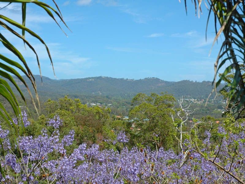 10 Forest Drive, ELANORA QLD 4221, Elanora - Thumbnail 3