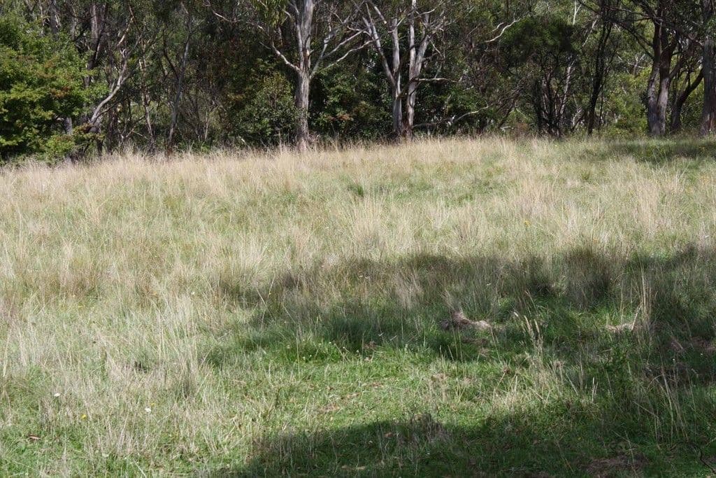 11 Conyard Road, GLEN INNES NSW 2370, Glen Innes - Thumbnail 5