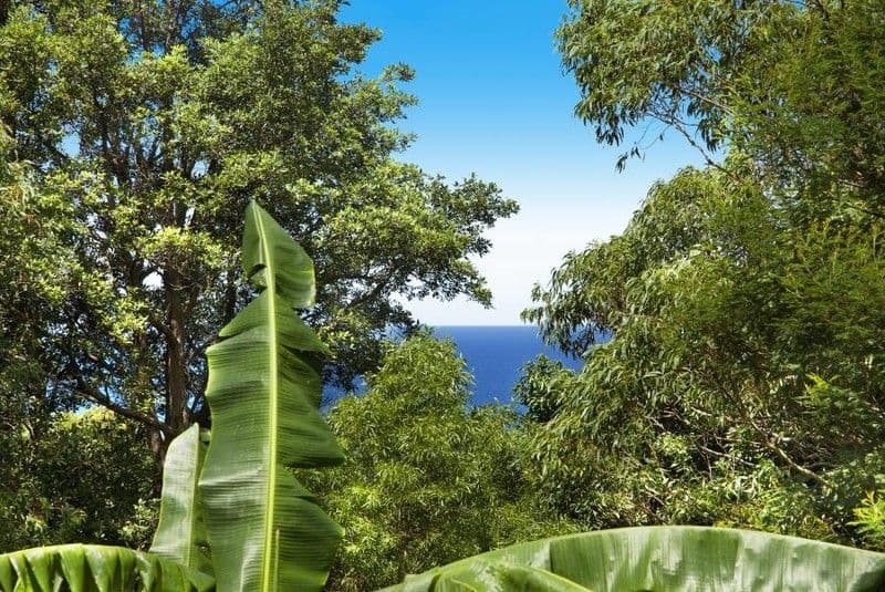 1 Cokeworks Road, COLEDALE NSW 2515, Coledale - Thumbnail 5